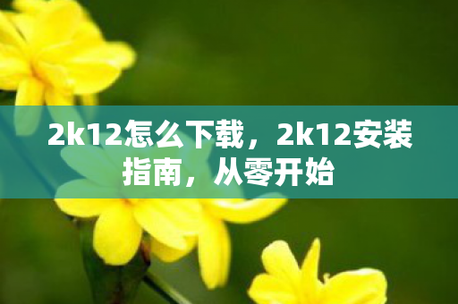 2k12怎么下载,2k12安装指南,从零开始 2k12怎么下载,2k12安装指南,从零开始