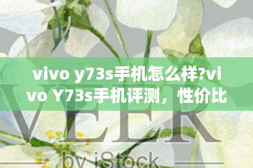 vivo y73s手机怎么样?vivo Y73s手机评测，性价比与实用性的完美结合