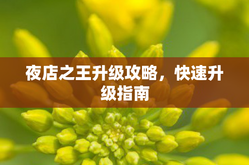 夜店之王升级攻略,快速升级指南 夜店之王升级攻略,快速升级指南