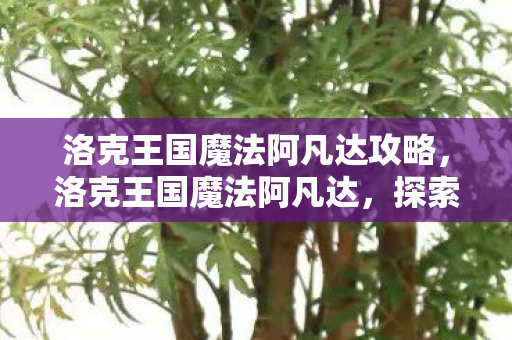 洛克王国魔法阿凡达攻略,洛克王国魔法阿凡达,探索奇幻世界的奇妙之旅 洛克王国魔法阿凡达攻略,洛克王国魔法阿凡达,探索奇幻世界的奇妙之旅