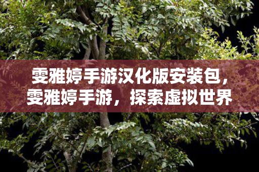 雯雅婷手游汉化版安装包,雯雅婷手游,探索虚拟世界的无限可能 雯雅婷手游汉化版安装包,雯雅婷手游,探索虚拟世界的无限可能