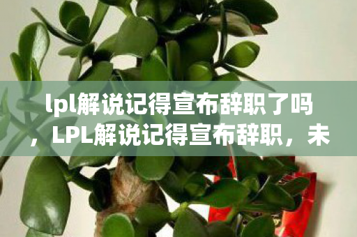 lpl解说记得宣布辞职了吗,LPL解说记得宣布辞职,未来解说之路何去何从? lpl解说记得宣布辞职了吗,LPL解说记得宣布辞职,未来解说之路何去何从?