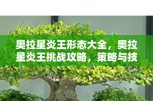 奥拉星炎王形态大全,奥拉星炎王挑战攻略,策略与技巧 奥拉星炎王形态大全,奥拉星炎王挑战攻略,策略与技巧