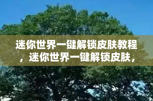 迷你世界一键解锁皮肤教程,迷你世界一键解锁皮肤,解锁新世界的便捷之道 迷你世界一键解锁皮肤教程,迷你世界一键解锁皮肤,解锁新世界的便捷之道
