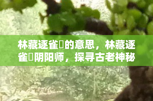 林藏逐雀鹯的意思,林藏逐雀鹯阴阳师,探寻古老神秘与策略博弈的奇妙世界 林藏逐雀鹯的意思,林藏逐雀鹯阴阳师,探寻古老神秘与策略博弈的奇妙世界