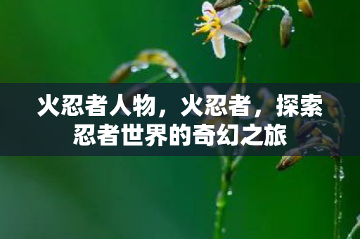 火忍者人物,火忍者,探索忍者世界的奇幻之旅 火忍者人物,火忍者,探索忍者世界的奇幻之旅