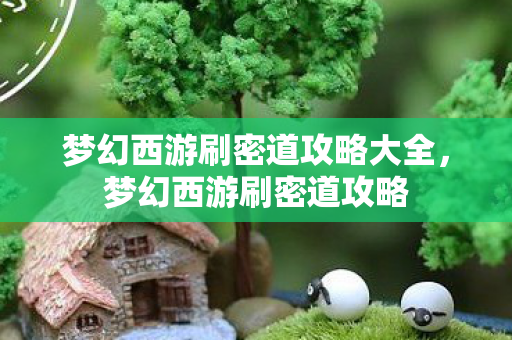 梦幻西游刷密道攻略大全,梦幻西游刷密道攻略 梦幻西游刷密道攻略大全,梦幻西游刷密道攻略