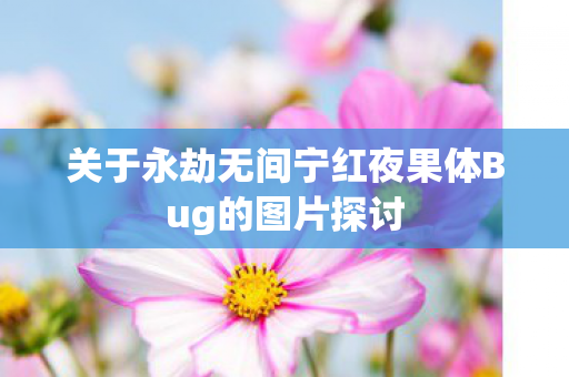 关于永劫无间宁红夜果体Bug的图片探讨 关于永劫无间宁红夜果体Bug的图片探讨