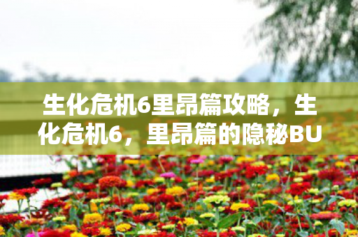 生化危机6里昂篇攻略,生化危机6,里昂篇的隐秘BUG 生化危机6里昂篇攻略,生化危机6,里昂篇的隐秘BUG