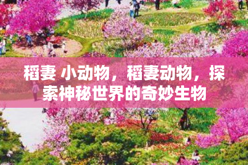 稻妻 小动物,稻妻动物,探索神秘世界的奇妙生物 稻妻 小动物,稻妻动物,探索神秘世界的奇妙生物