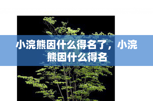 小浣熊因什么得名了,小浣熊因什么得名 小浣熊因什么得名了,小浣熊因什么得名