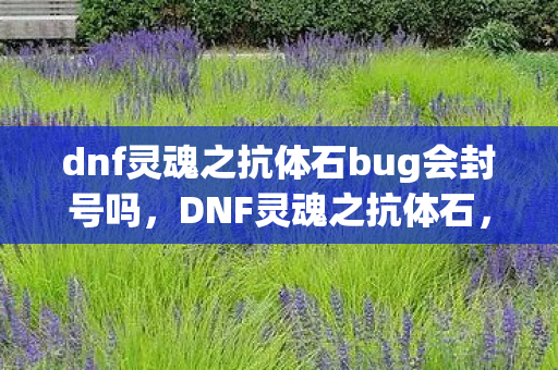 dnf灵魂之抗体石bug会封号吗，DNF灵魂之抗体石，守护阿拉德大陆的神秘力量