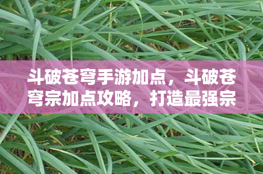 斗破苍穹手游加点,斗破苍穹宗加点攻略,打造最强宗门 斗破苍穹手游加点,斗破苍穹宗加点攻略,打造最强宗门