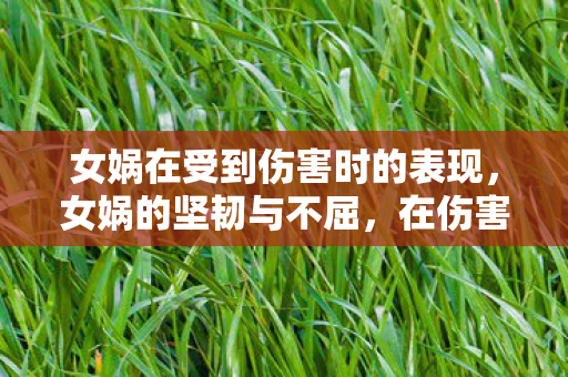 女娲在受到伤害时的表现,女娲的坚韧与不屈,在伤害中绽放的传奇 女娲在受到伤害时的表现,女娲的坚韧与不屈,在伤害中绽放的传奇