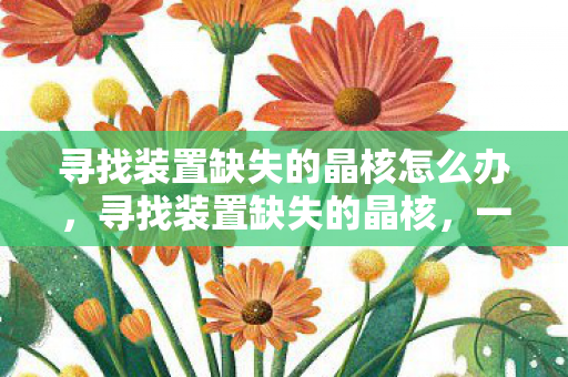 寻找装置缺失的晶核怎么办，寻找装置缺失的晶核，一场科技与奇幻交织的冒险