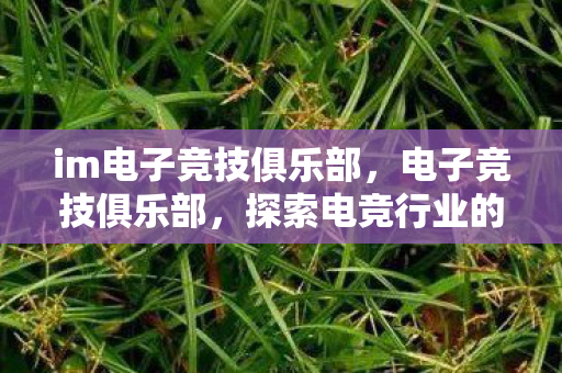 im电子竞技俱乐部，电子竞技俱乐部，探索电竞行业的未来之路