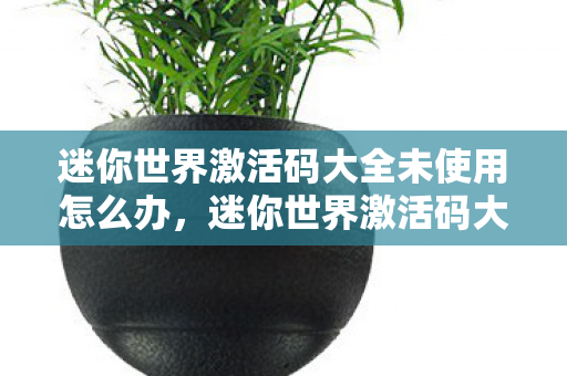 迷你世界激活码大全未使用怎么办，迷你世界激活码大全未使用