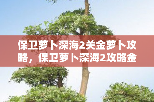 保卫萝卜深海2关金萝卜攻略，保卫萝卜深海2攻略金萝卜布阵图