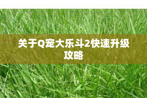 关于Q宠大乐斗2快速升级攻略 关于Q宠大乐斗2快速升级攻略
