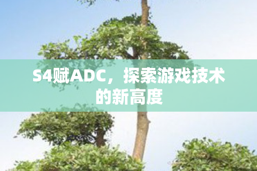S4赋ADC,探索游戏技术的新高度 S4赋ADC,探索游戏技术的新高度