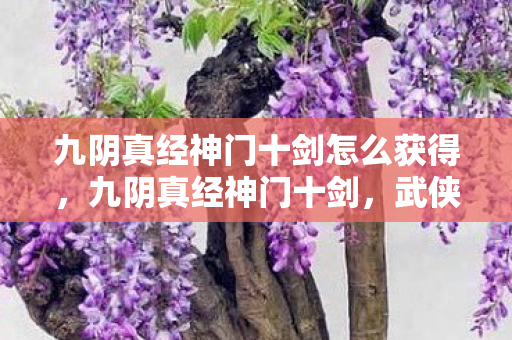 九阴真经神门十剑怎么获得,九阴真经神门十剑,武侠世界的巅峰剑术 九阴真经神门十剑怎么获得,九阴真经神门十剑,武侠世界的巅峰剑术