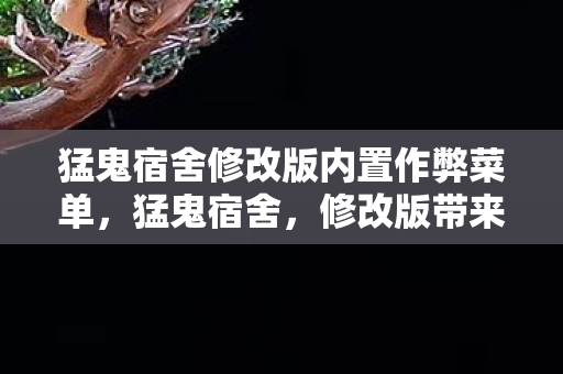 猛鬼宿舍修改版内置作弊菜单,猛鬼宿舍,修改版带来的全新游戏体验 猛鬼宿舍修改版内置作弊菜单,猛鬼宿舍,修改版带来的全新游戏体验
