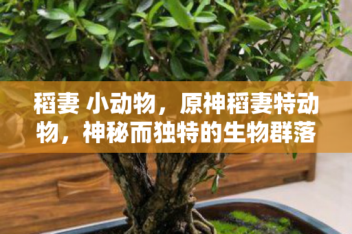 稻妻 小动物,原神稻妻特动物,神秘而独特的生物群落 稻妻 小动物,原神稻妻特动物,神秘而独特的生物群落