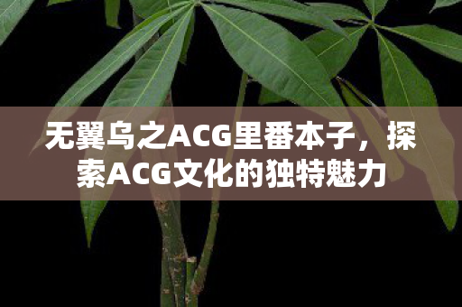 无翼乌之ACG里番本子,探索ACG文化的独特魅力 无翼乌之ACG里番本子,探索ACG文化的独特魅力