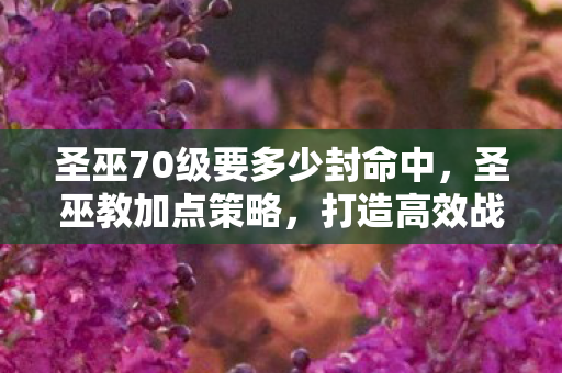 圣巫70级要多少封命中,圣巫教加点策略,打造高效战斗与生存能力 圣巫70级要多少封命中,圣巫教加点策略,打造高效战斗与生存能力