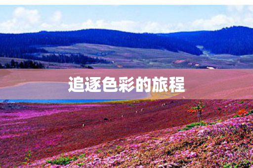 追逐色彩的旅程 追逐色彩的旅程