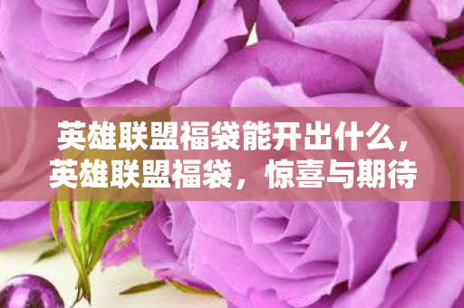 英雄联盟福袋能开出什么，英雄联盟福袋，惊喜与期待的交汇点