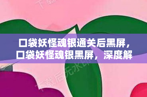 口袋妖怪魂银通关后黑屏，口袋妖怪魂银黑屏，深度解析与解决方案