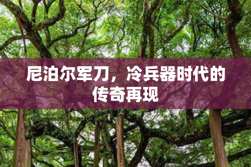 尼泊尔军刀,冷兵器时代的传奇再现 尼泊尔军刀,冷兵器时代的传奇再现