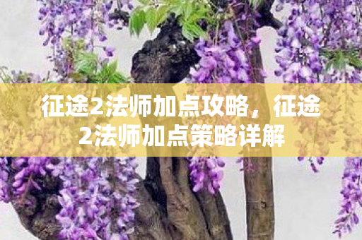 征途2法师加点攻略,征途2法师加点策略详解 征途2法师加点攻略,征途2法师加点策略详解
