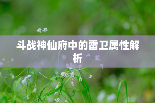 斗战神仙府中的雷卫属性解析