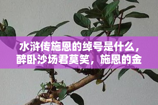 水浒传施恩的绰号是什么，醉卧沙场君莫笑，施恩的金眼彪绰号探析