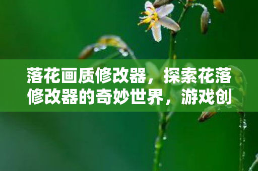 落花画质修改器,探索花落修改器的奇妙世界,游戏创意的无限可能 落花画质修改器,探索花落修改器的奇妙世界,游戏创意的无限可能