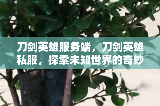 刀剑英雄服务端,刀剑英雄私服,探索未知世界的奇妙之旅 刀剑英雄服务端,刀剑英雄私服,探索未知世界的奇妙之旅