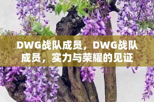 DWG战队成员，DWG战队成员，实力与荣耀的见证
