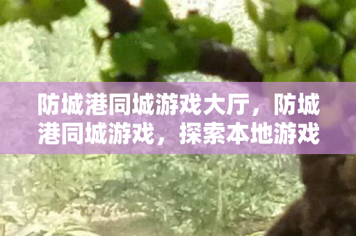 防城港同城游戏大厅,防城港同城游戏,探索本地游戏文化的魅力 防城港同城游戏大厅,防城港同城游戏,探索本地游戏文化的魅力