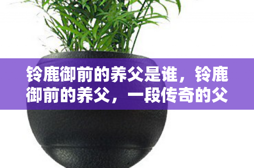 铃鹿御前的养父是谁,铃鹿御前的养父,一段传奇的父子情 铃鹿御前的养父是谁,铃鹿御前的养父,一段传奇的父子情