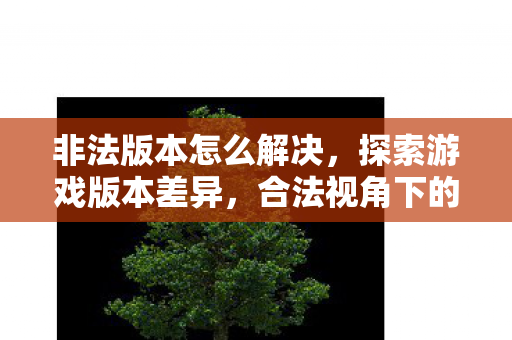 非法版本怎么解决,探索游戏版本差异,合法视角下的版本选择与体验 非法版本怎么解决,探索游戏版本差异,合法视角下的版本选择与体验