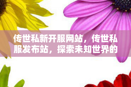 传世私新开服网站,传世私服发布站,探索未知世界的奇妙之旅 传世私新开服网站,传世私服发布站,探索未知世界的奇妙之旅