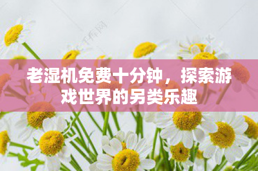 老湿机免费十分钟,探索游戏世界的另类乐趣 老湿机免费十分钟,探索游戏世界的另类乐趣