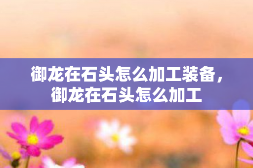 御龙在石头怎么加工装备,御龙在石头怎么加工 御龙在石头怎么加工装备,御龙在石头怎么加工