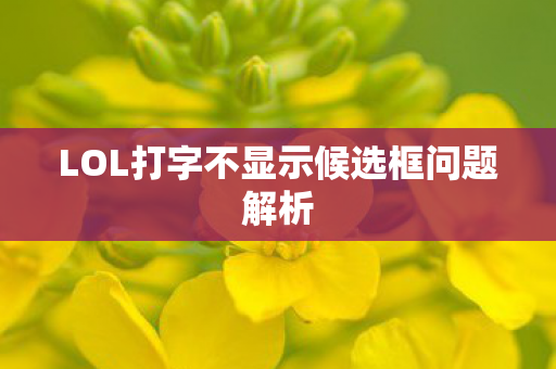 LOL打字不显示候选框问题解析 LOL打字不显示候选框问题解析