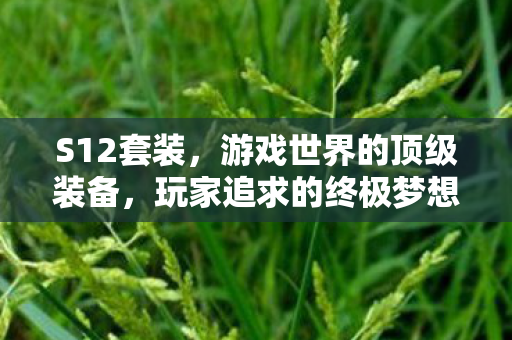 S12套装,游戏世界的顶级装备,玩家追求的终极梦想 S12套装,游戏世界的顶级装备,玩家追求的终极梦想