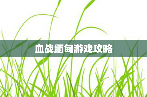 血战缅甸游戏攻略 血战缅甸游戏攻略
