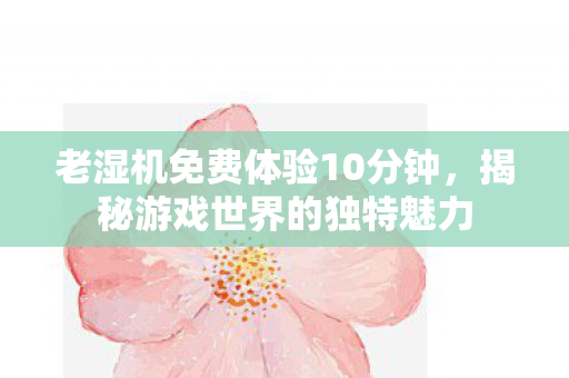 老湿机免费体验10分钟,揭秘游戏世界的独特魅力 老湿机免费体验10分钟,揭秘游戏世界的独特魅力