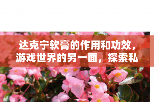 达克宁软膏的作用和功效,游戏世界的另一面,探索私服带来的独特体验 达克宁软膏的作用和功效,游戏世界的另一面,探索私服带来的独特体验